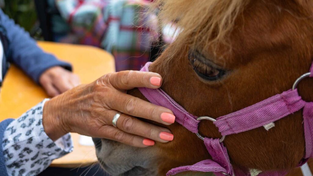 Faircape Life is pet-friendly