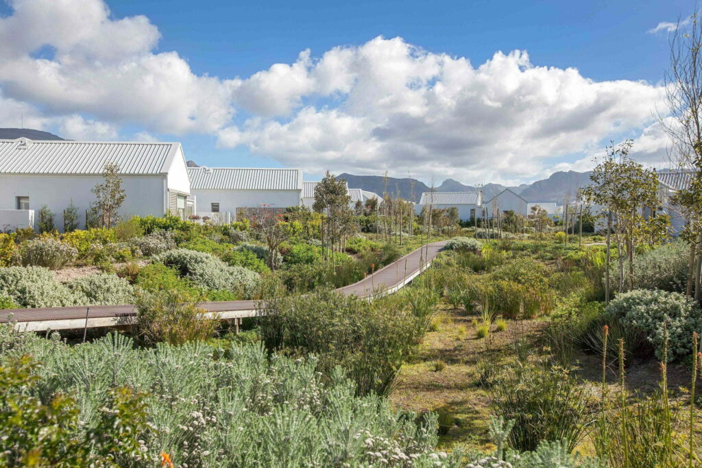 Gripping views of nature helped secure Tokai Estate's position as best luxury retirement in South Africa