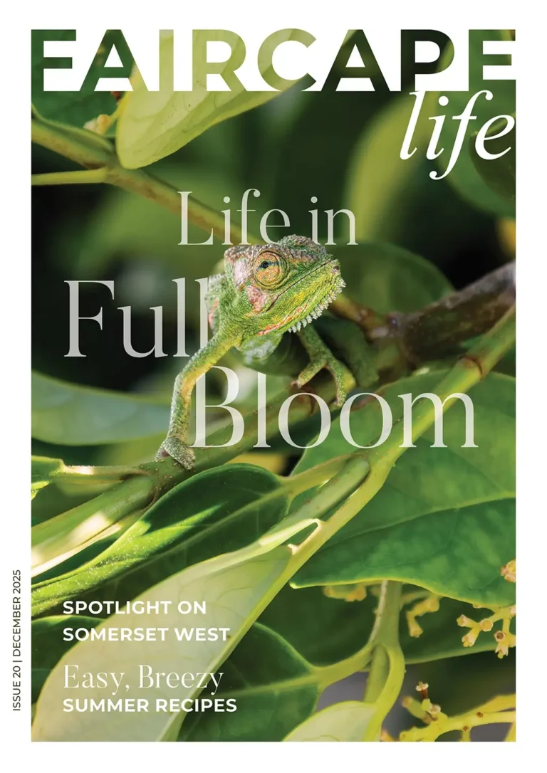 Faircape Life Magazine Issue 20 December 2025 | Faircape Life | Faircape Group