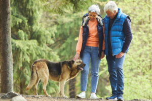 Active Retirement: The Key To A Happy Life After 50?